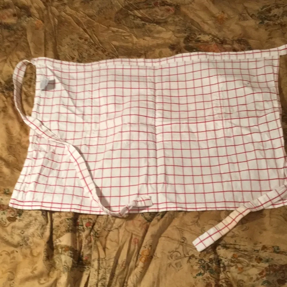 Williams Sonoma Red and White Plaid Apron or Blue and White Plaid Apron